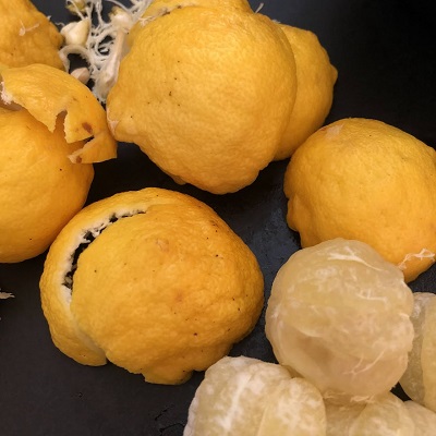 皮をむいたら、みかんを食べるときのように実についている白いすじを取ります。すじを取ると苦みが少なくなるそうです。