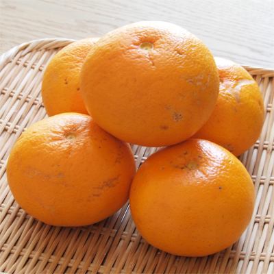 甘夏の皮をタワシできれいに洗う