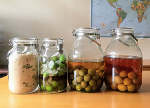 きび砂糖の梅シロップとはちみつと黒酢の梅シロップ