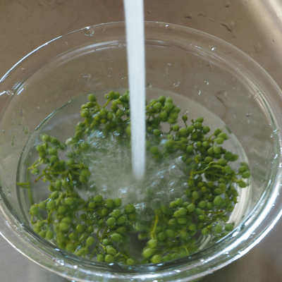 まずは実山椒を水で洗います。異物や汚れを取り除きましょう。