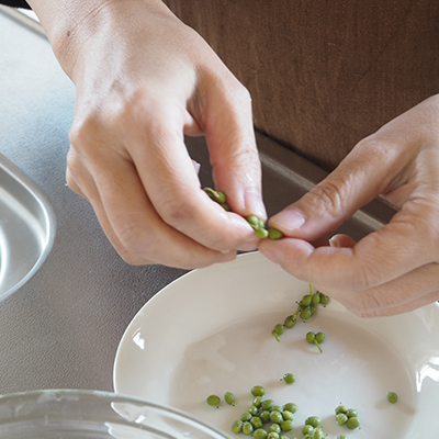 実山椒の下ごしらえが終わったら、調理していきましょう。まず実山椒の実を枝からとります。小さな枝は付いていても大丈夫。