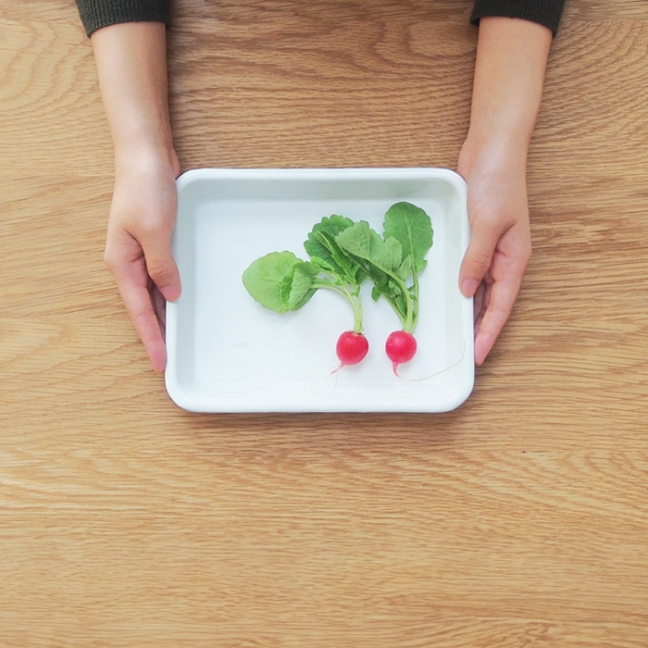 野田琺瑯　バット　全白　キャビネ