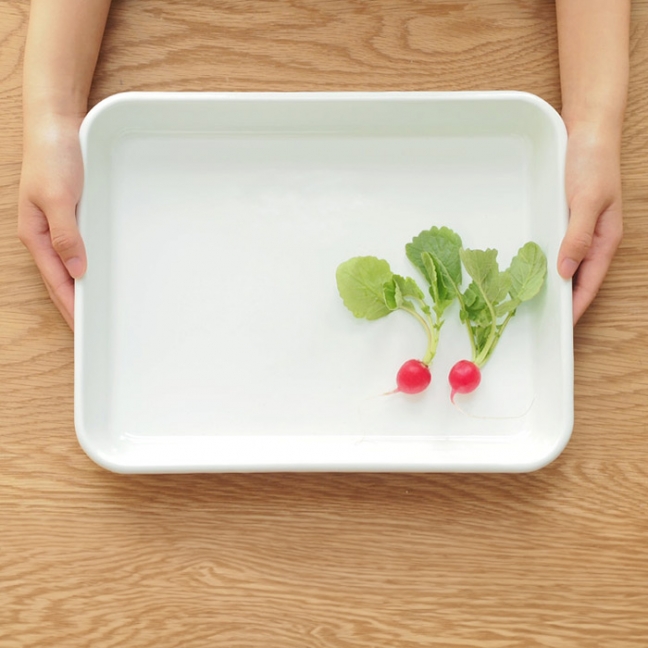 野田琺瑯　バット　全白　12取