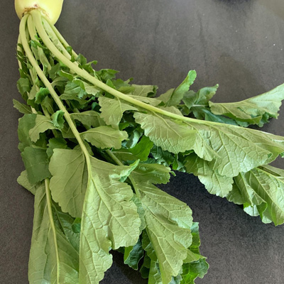 「わぁ!立派立派」などと言いながら、葉っぱを丁寧に洗います。