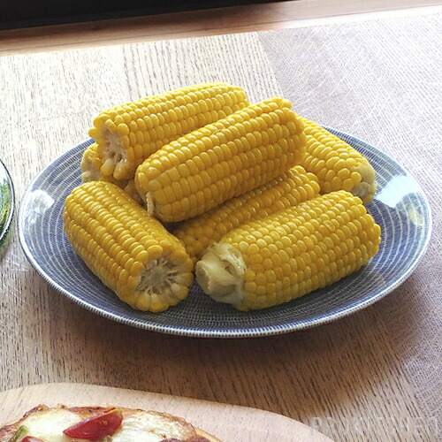 アラビア　24h　アベック　プレート　26cm　ブルー　/　ARABIA　24h　Avec