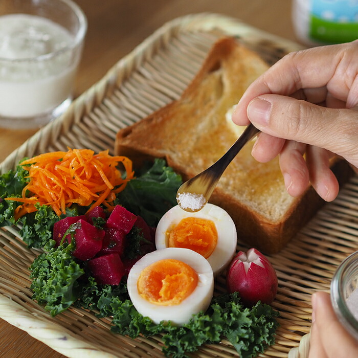 サンク　ホーンヴァレファブリッケン　カトラリー　ソルトスプーン　/　CINQ