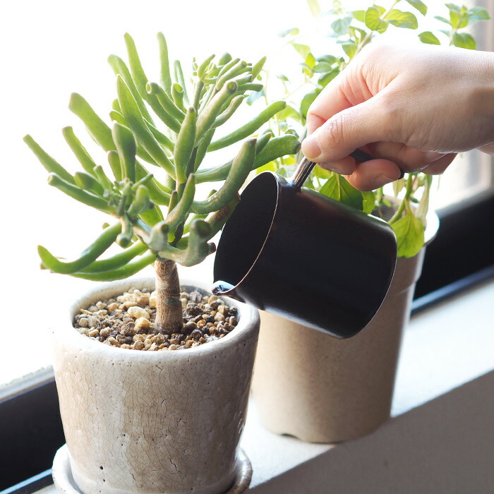 大阪琺瑯　一合マグ　マットブラック