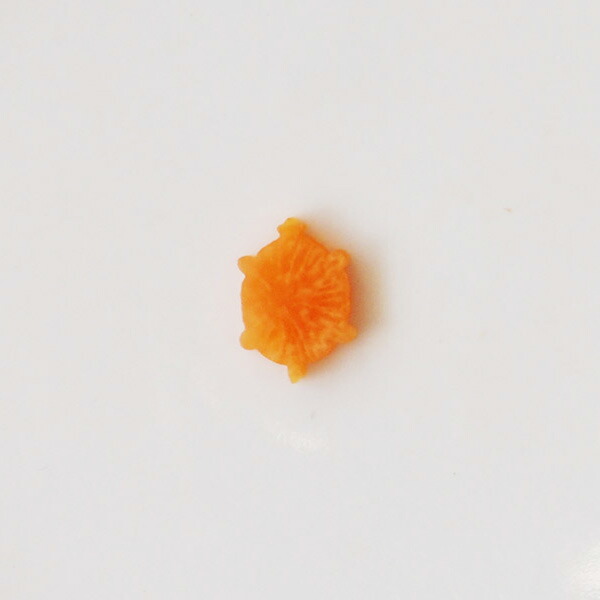 【50％0FF・在庫限り】抜き型　亀　小小　※