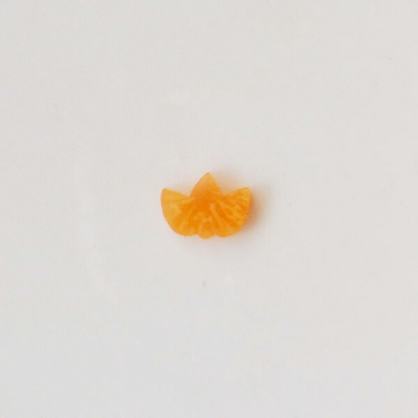 【50％0FF・在庫限り】抜き型　竹　1号　※