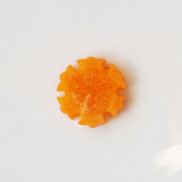 抜き型　雪輪　中