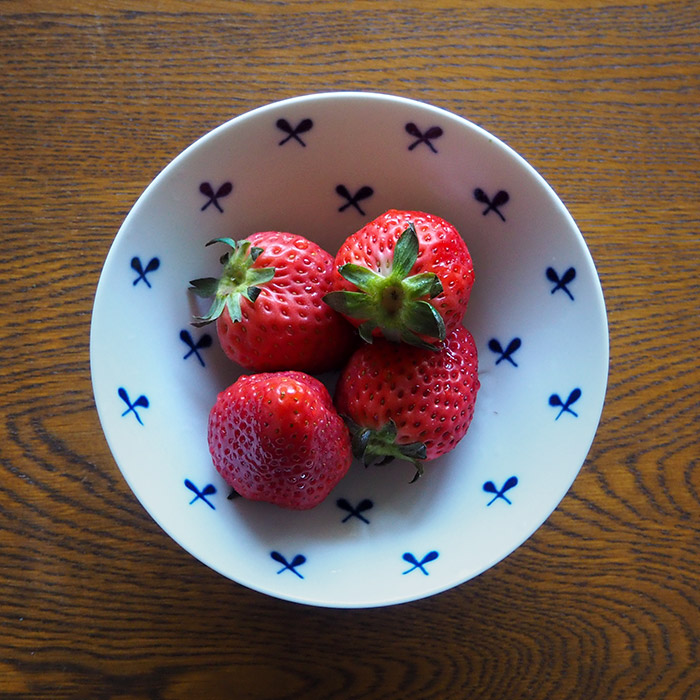 白山陶器　平茶わん　ST-16　/　HAKUSAN