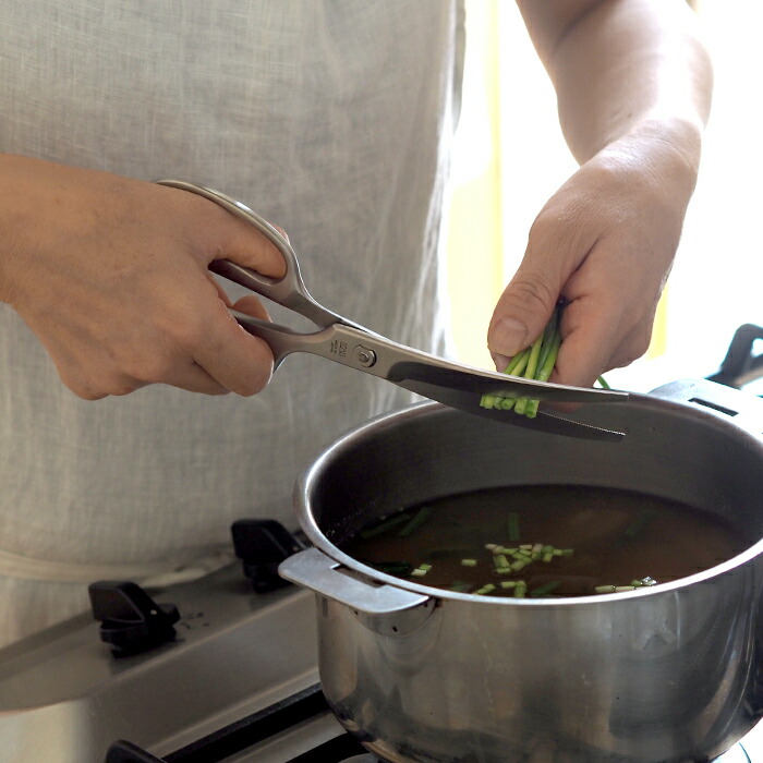 貝印　鍛造オールステンレスカーブキッチン鋏　/　Kai