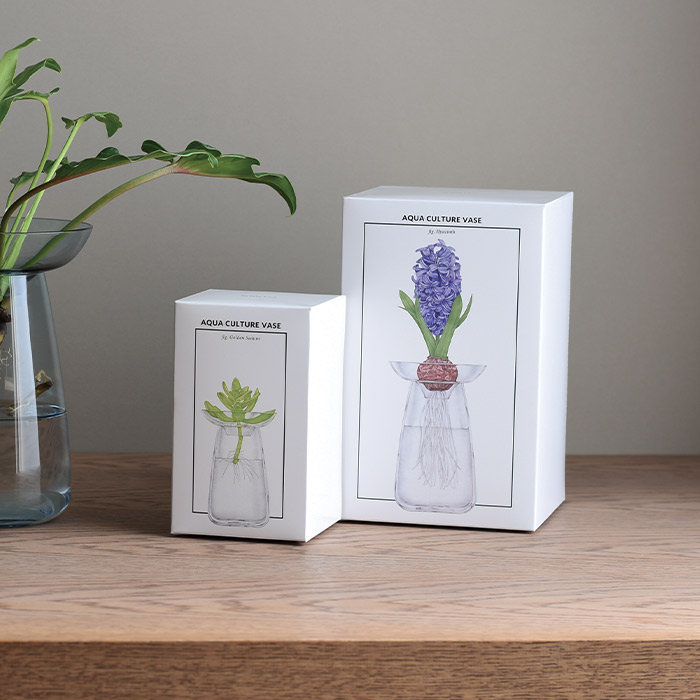 キントー　アクアカルチャーベース　80mm　クリア　/　KINTO