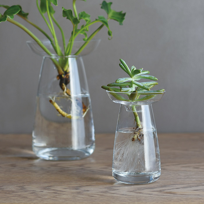 キントー　アクアカルチャーベース　80mm　クリア　/　KINTO