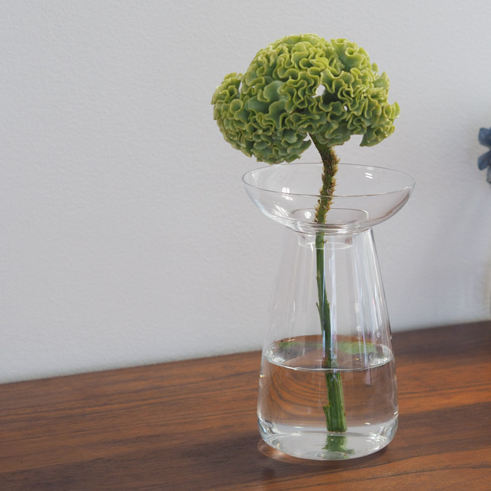 キントー　アクアカルチャーベース　120mm　クリア　/　KINTO