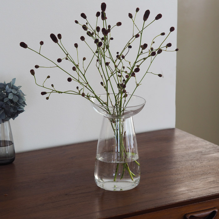 キントー　アクアカルチャーベース　120mm　クリア　/　KINTO