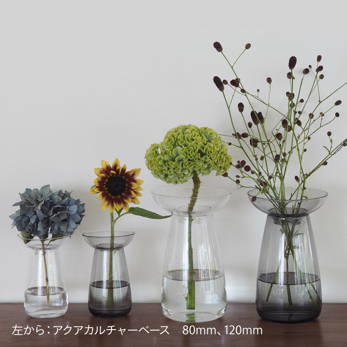 キントー　アクアカルチャーベース　80mm　クリア　/　KINTO