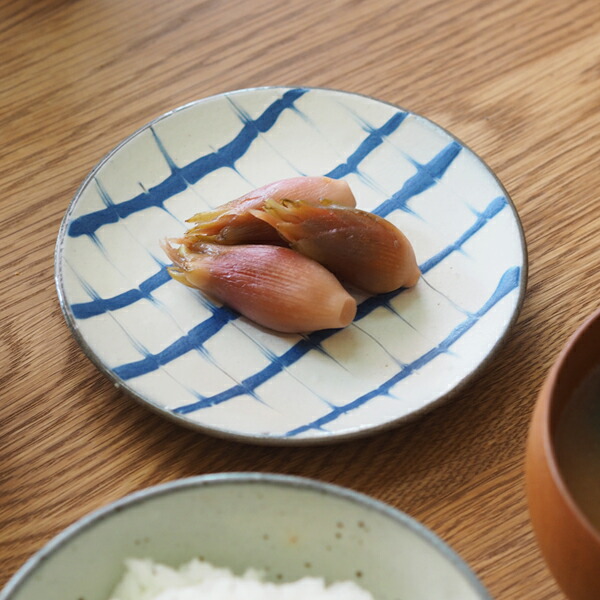 ココチ舎　スリップ　丸皿　4寸