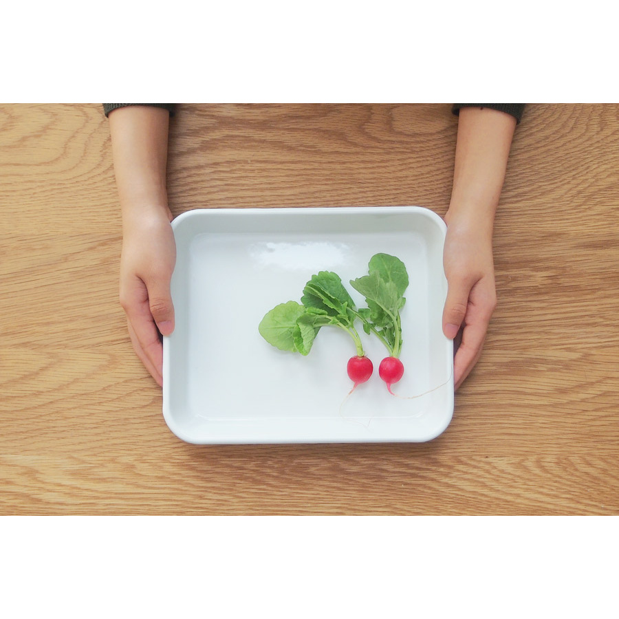 野田琺瑯　バット　全白　21取