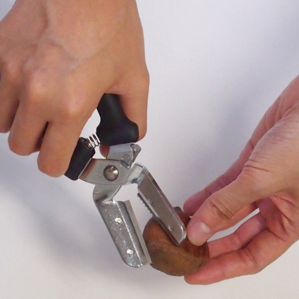 スワダ　新型栗くり坊主　/　SUWADA