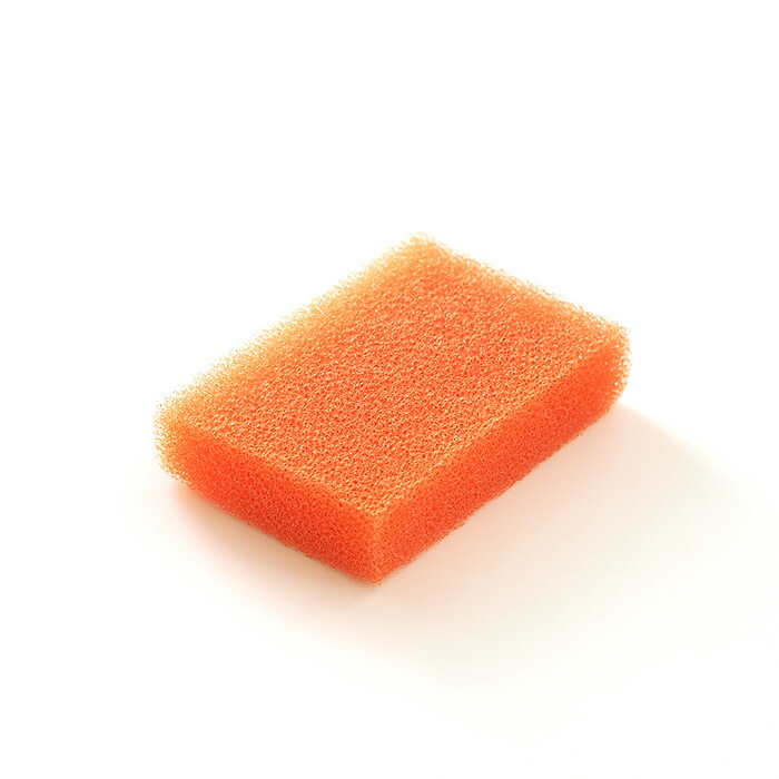 サンサンスポンジ　ワックスフラワー　/　Sunsun　Sponge