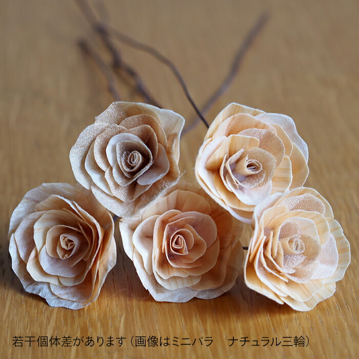 木のお花　かなばフラワー　季節のお花ミニ　三輪　/　土佐草木花