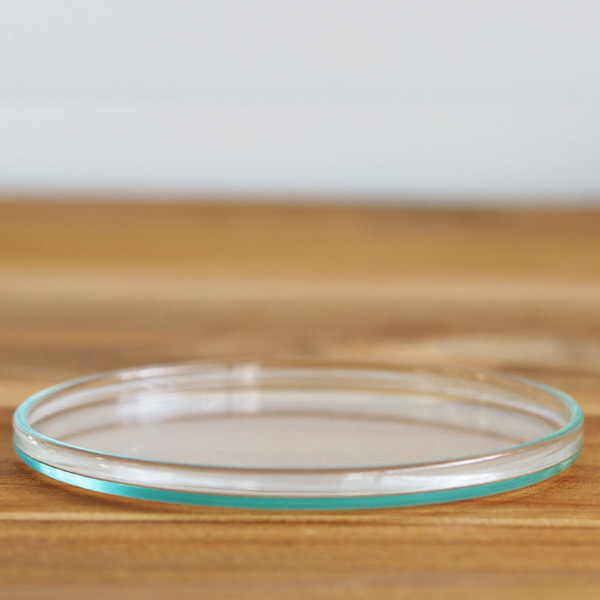 ボロシル　ヴィジョングラス　グラスリド　56（SS）　/　BOROSIL　VISION　GLASS　LID　56